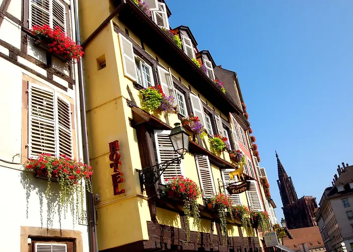 Logis Hotel Restaurant Au Cerf D'Or